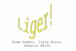 Drew Somers, Craig Baron, Rebecca White. Webster’s Dictionary defines the liger as "half lion, half tiger, all terror." (as drawn by Napoleon Dynamite)