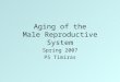 Aging of the Male Reproductive System Spring 2007 PS Timiras