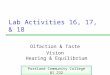 Lab Activities 16, 17, & 18 Olfaction & Taste Vision Hearing & Equilibrium Portland Community College BI 232