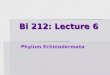 Bi 212: Lecture 6 Phylum Echinodermata. Phylum Echinodermata: Spiny-skinned