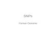 SNPs Human Genome. SNP Typing Allele specific hybridization ASO probes usually with the polymorphic base in a central position in the probe sequence