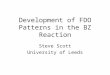 Development of FDO Patterns in the BZ Reaction Steve Scott University of Leeds