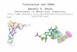 Darrell R. Davis Department of Medicinal Chemistry  Translation and tRNAs