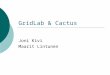 GridLab & Cactus Joni Kivi Maarit Lintunen. GridLab  A project funded by the European Commission  The project was started in January 2002  Software