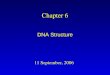 11 September, 2006 Chapter 6 DNA Structure. Overview The classical DNA structure is an antiparallel duplex of polynucleotides. The two strands of DNA