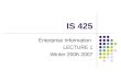IS 425 Enterprise Information LECTURE 1 Winter 2006-2007
