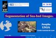 21 / 06 / 2000Segmentation of Sea-bed Images.1 Josepha UNIA Ecole Centrale de Lyon