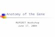 Anatomy of the Gene MUPGRET Workshop June 17, 2004