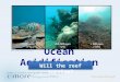 1 Ocean Acidification Will the reef survive? 