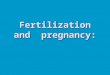 Fertilization and pregnancy:. Fertilization: Blocks to polyspermy If more than one sperm were to fertilize the egg, then the genetic complement would