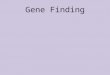 Gene Finding. Biological Background The Central Dogma Transcription RNA Translation Protein DNA