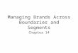 Managing Brands Across Boundaries and Segments Chapter 14