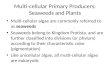 Multi-cellular Primary Producers: Seaweeds and Plants Multi-cellular algae are commonly referred to as seaweeds Seaweeds belong to Kingdom Protista, and