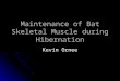 Maintenance of Bat Skeletal Muscle during Hibernation Kevin Ornee