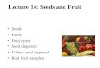 Lecture 14: Seeds and Fruit Seeds Fruits Fruit types Seed dispersal Video: seed dispersal Real fruit samples
