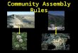 Community Assembly Rules. Defining “assembly rules” The niche concept Types of assembly rules Obstacles to testing assembly rules So what? Outline