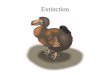 Extinction. The dodo What makes species vulnerable to extinction?