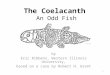 The Coelacanth An Odd Fish by Eric Ribbens, Western Illinois University, based on a case by Robert H. Grant 1 ©SAIAB