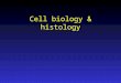 Cell biology & histology. Study of cells: –Microscopes to study cells –Various “stains” to see organelles etc. –Various ways to look at proteins, signal