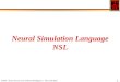 CS564 - Brain Theory and Artificial Intelligence, USC, Fall 2001. 1 Neural Simulation Language NSL