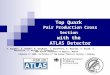 Top Quark Pair Production Cross Section with the ATLAS Detector A. Bangert, S. Bethke, N. Ghodbane, T. Goettfert, R. Haertel, S. Kluth, A. Macchiolo, R