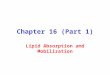 Chapter 16 (Part 1) Lipid Absorption and Mobilization