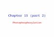 Chapter 15 (part 2) Photophosphorylation. Light-Driven ATP Synthesis Electron transfer through the proteins of the Z scheme drives the generation of a