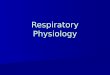 Respiratory Physiology. Describe the three processes of respiration 1.Pulmonary ventilation 2.External respiration 3.Internal respiration Identify the