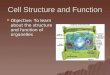 Cell Structure and Function  Objective: To learn about the structure and function of organelles