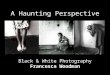 A Haunting Perspective Black & White Photography Francesca Woodman