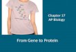 Chapter 17 AP Biology From Gene to Protein. Central Dogma of Molecular Biology DNA  RNA  Protein
