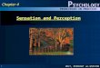 HOLT, RINEHART AND WINSTON P SYCHOLOGY PRINCIPLES IN PRACTICE 1 Chapter 4 Sensation and Perception