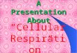A Presentation About Copyright Cmassengale “Cellular Respiration”