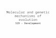 Molecular and genetic mechanisms of evolution 529 - Development