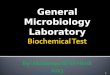 General Microbiology Laboratory 1By: Mahmoud W El-Hindi