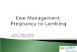 Level II Agricultural Business Operations.  Appropriate management and nutrition to achieve optimum performance from  The pregnant ewe  Lactating ewe