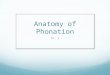 Anatomy of Phonation Ch. 4. Spoken Communication Voiceless phonemes or speech sounds- produced without the use of the vocal folds /s/, /f/ Voiced sounds