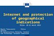 Internet and protection of geographical indications Milan, 20-21 April 2015 Maciej Tomaszewski Policy Officer DG Communications Networks, Content and Technology: