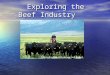 Exploring the Beef Industry Exploring the Beef Industry