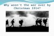 Why wasn’t the war over by Christmas 1914?. Learning objective – to be able to understand the reasons why the First World War was not over by the end