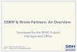 DSRIP & Bronx Partners: An Overview Developed by the BPHC Project Management Office