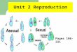 1 Unit 2 Reproduction Pages 106-221. 2 Section 4-1 Function of the Nucleus Within the Cell Pages 112-121