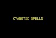 CYANOTIC SPELLS paroxysmal hyperpnea hypoxic spells anoxic spells blue spells