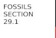 FOSSILS SECTION 29.1. PALEONTOLOGY The study of life that existed in prehistoric times