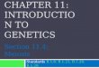CHAPTER 11: INTRODUCTION TO GENETICS Standards B.1.8, B.1.21, B.1.28, B.1.29 Section 11.4: Meiosis