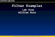 Filter Examples Lab View William Rose Department of Kinesiology and Applied Physiology