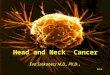 Dr. Szekanecz Éva Head and Neck Cancer Eva Szekanecz M.D., Ph.D. 2014