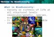 Threats To Biodiversity What is Biodiversity: -Variety or richness of life at all structural levels (molecular/genetic, species, ecosystem). -It is an