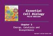 Chapter 3 Energy, Catalysis and Biosynthesis Essential Cell Biology Third Edition Copyright © Garland Science 2010