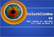 Colorblindness What causes it, and what it’s like to have it